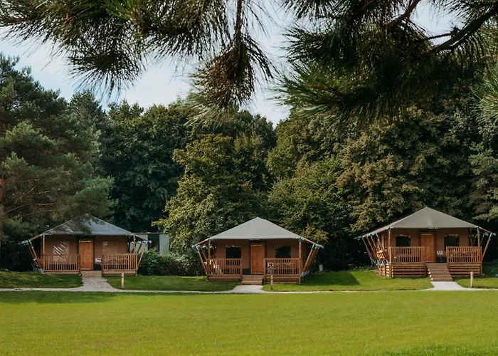 Trio Lodge