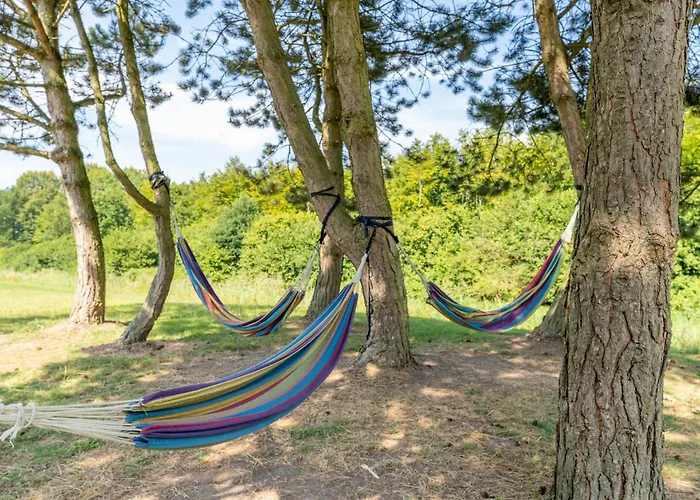 Glamping Lodge With Eco-Wellness